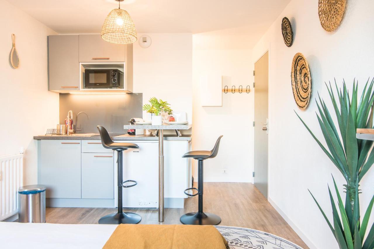 Apartament L'Integrale Strasburg Zewnętrze zdjęcie