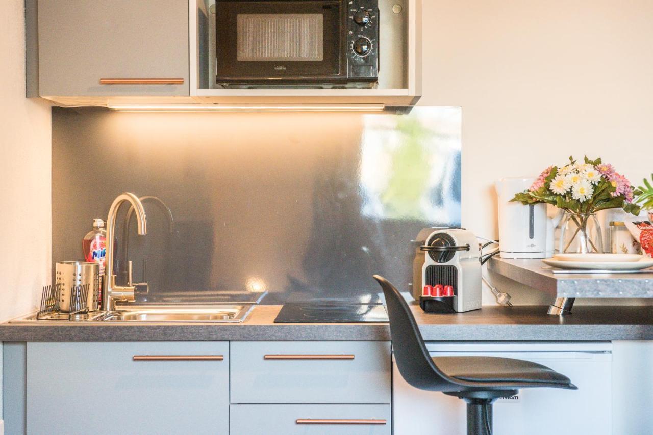 Apartament L'Integrale Strasburg Zewnętrze zdjęcie