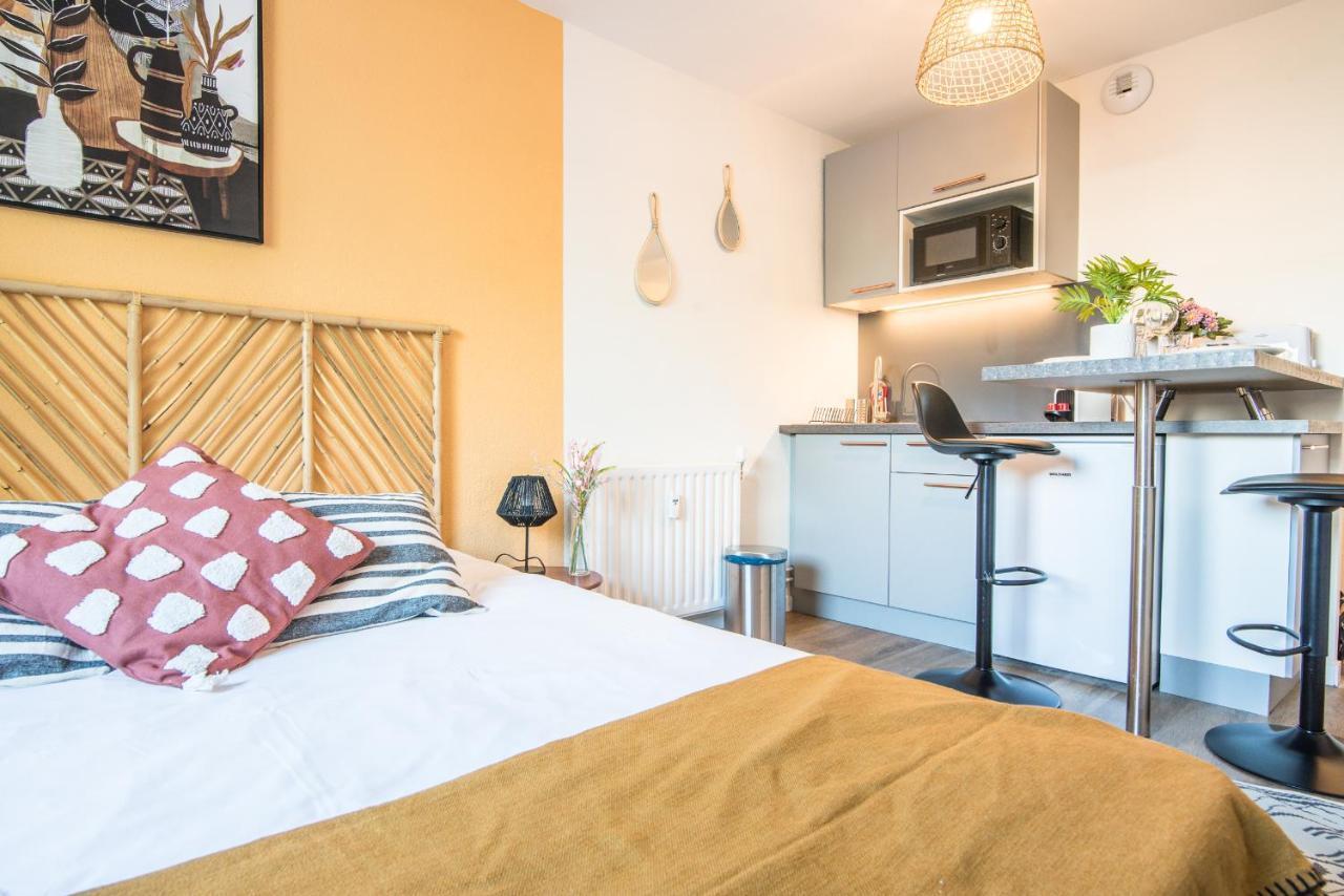 Apartament L'Integrale Strasburg Zewnętrze zdjęcie